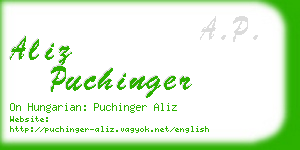 aliz puchinger business card